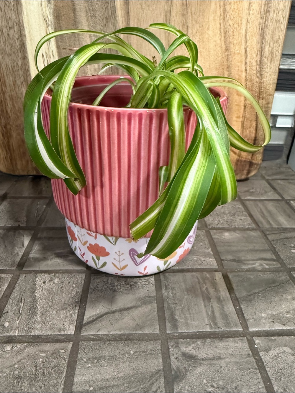 Mauve Ceramic Ribbed Pink Planter with Floral Base